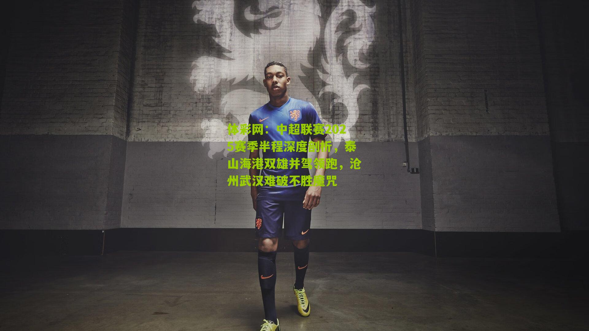 中超联赛2025赛季半程深度剖析，泰山海港双雄并驾领跑，沧州武汉难破不胜魔咒