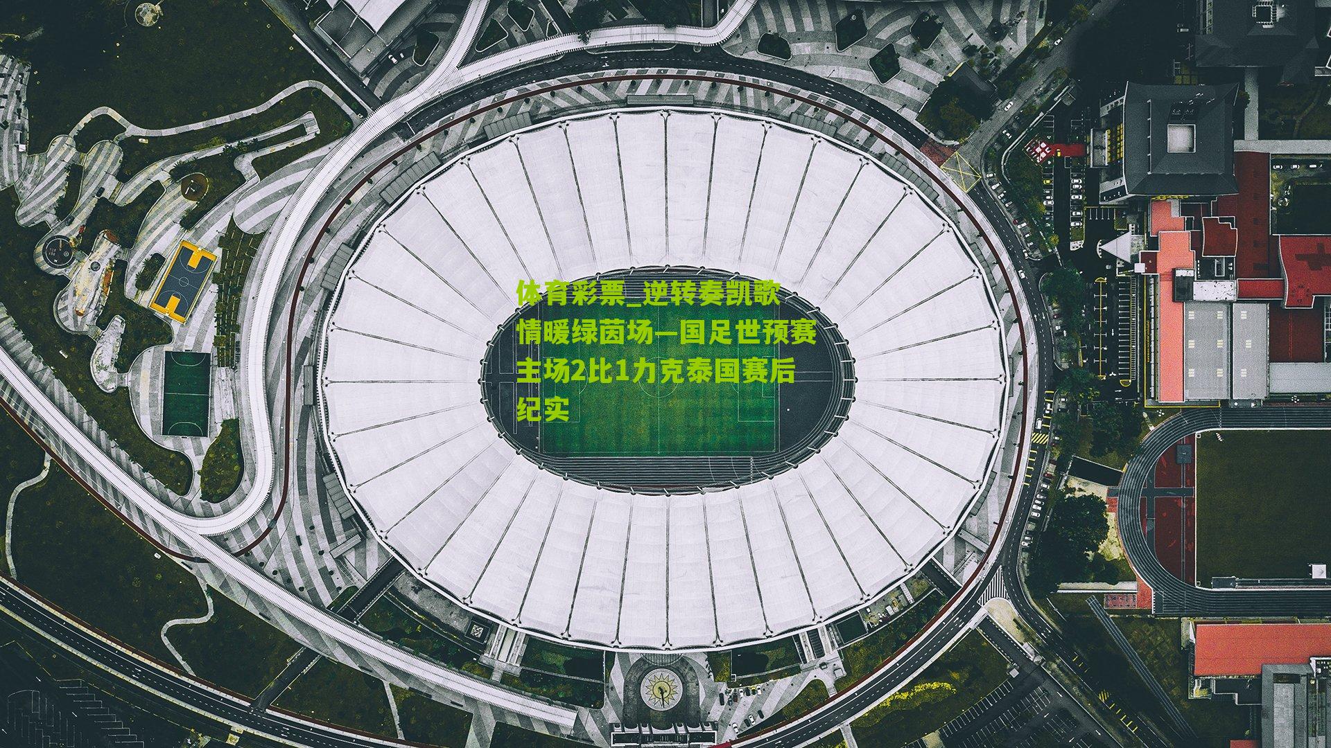 逆转奏凯歌 情暖绿茵场—国足世预赛主场2比1力克泰国赛后纪实